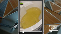 Контроль качества. Ржавая вода из крана. Человек и закон. Фрагмент 