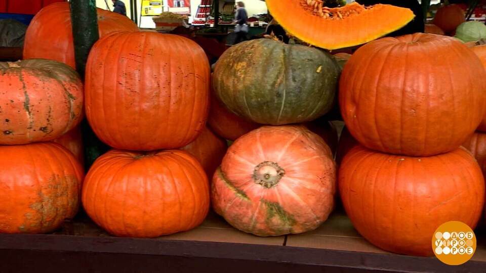 Тыква, королева осени. Доброе утро. Фрагмент выпуска от 30.10.2025