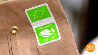 «Эко», «Био», «Органик»... А нам-то что? Доброе утро. Фрагмент 