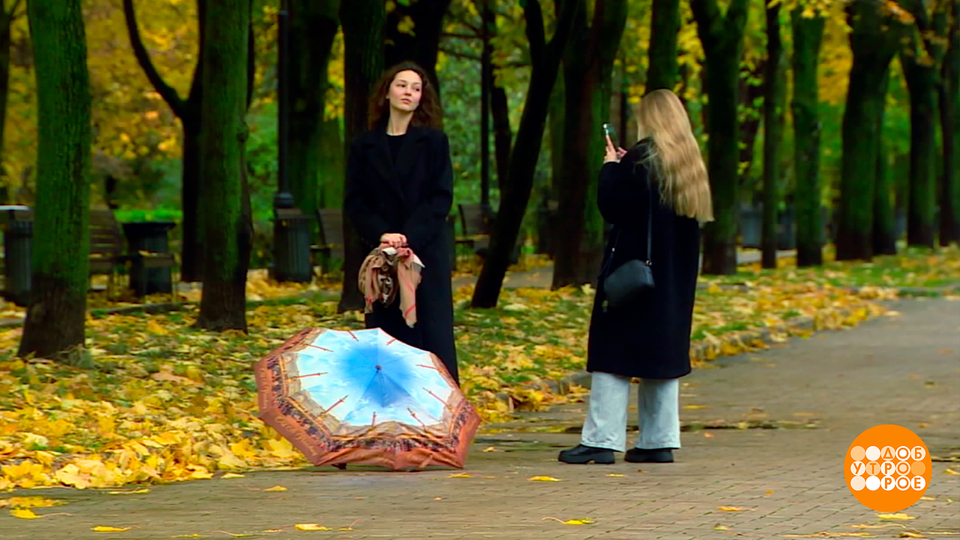 Большие выходные — маленький отпуск! Доброе утро. Фрагмент выпуска от 31.10.2025