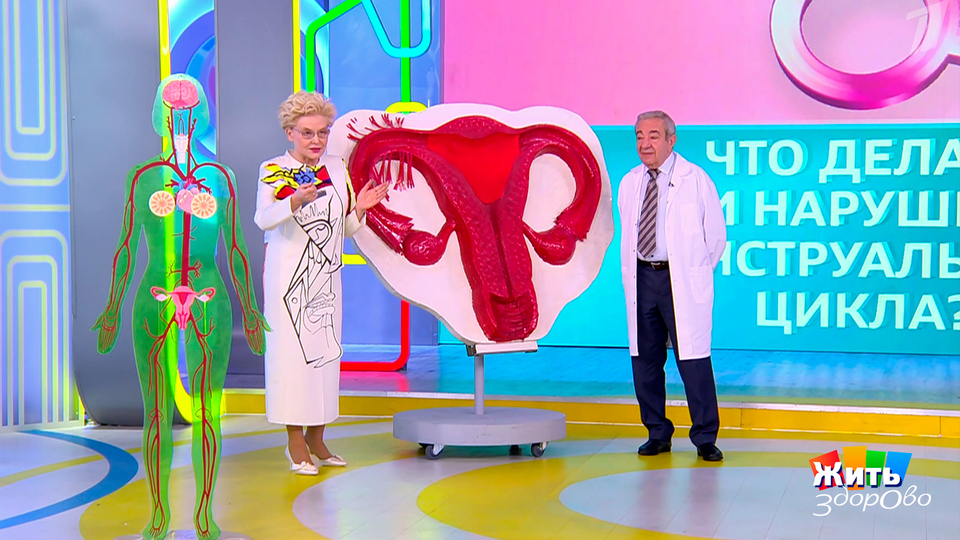 Месячные: что каждая женщина должна знать? Жить здорово! Фрагмент выпуска от 31.10.2025