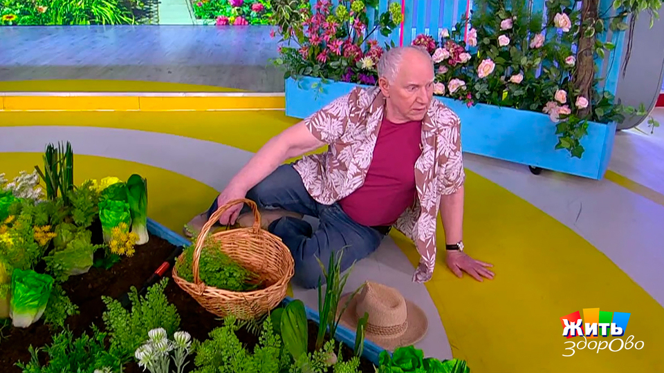 Резкое головокружение — и никого рядом. Что делать? Жить здорово! Фрагмент выпуска от 31.10.2025