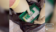 Видео недели: предотвращение теракта; буйный «заяц»; горе-отец. Человек и закон. Фрагмент 