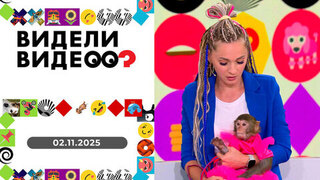 Собака-повторюшка, папа, который может все, потоп в ванной и спасительница птиц. Видели видео? 