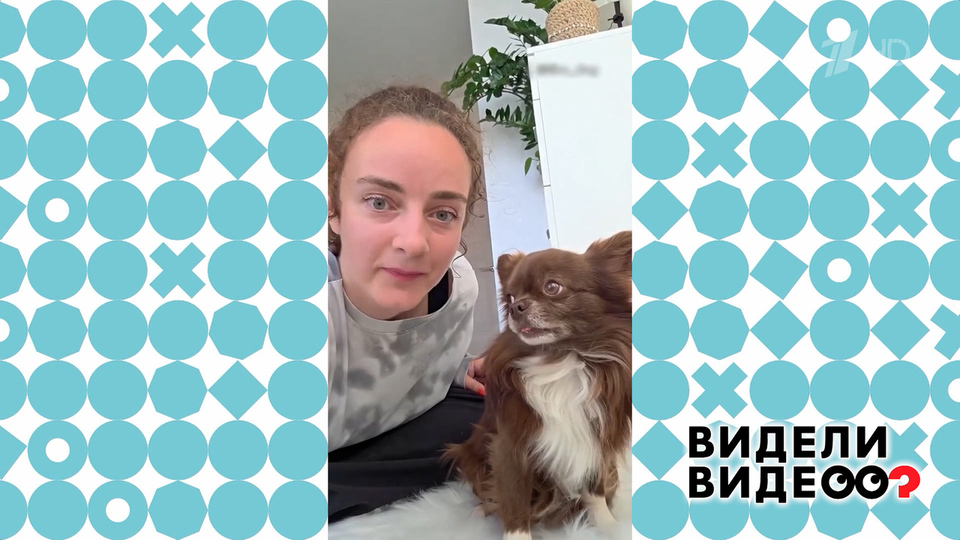 Собака-повторюшка. Видели видео? Фрагмент выпуска от 02.11.2025