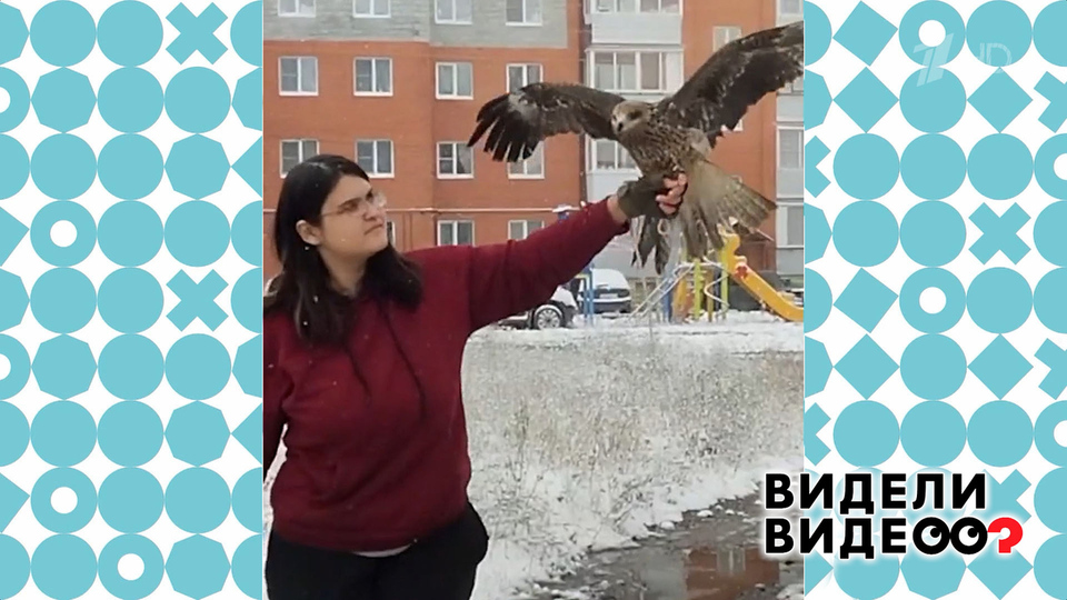 Спасительница птиц. Видели видео? Фрагмент выпуска от 02.11.2025