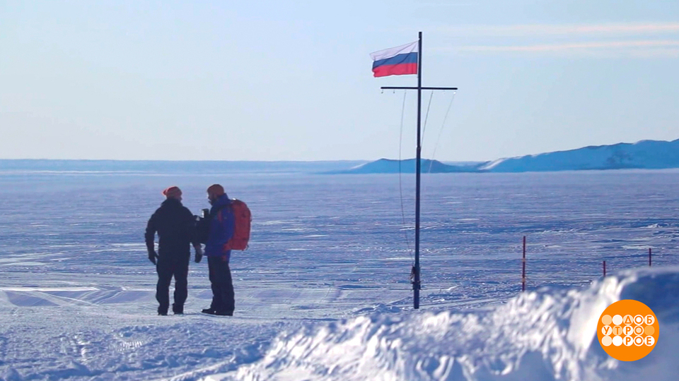 Антарктида — рядом! Доброе утро. Фрагмент выпуска от 04.11.2025