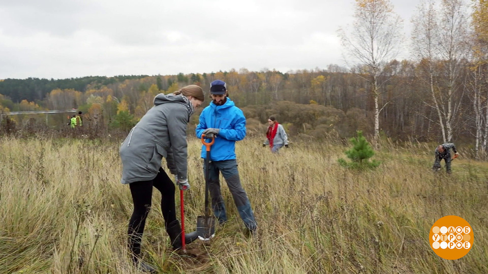 Сажаем лес! Доброе утро. Фрагмент выпуска от 04.11.2025
