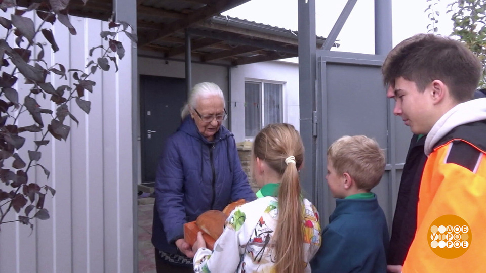 Добрые дела делаем всем миром! Доброе утро. Фрагмент выпуска от 04.11.2025