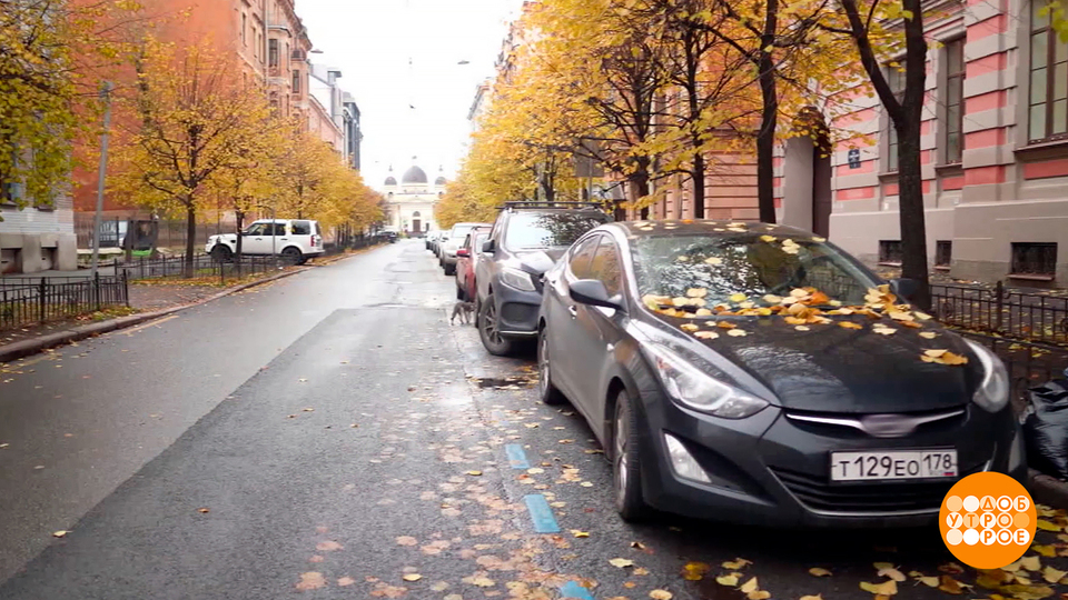 Питер паркуется… Доброе утро. Фрагмент выпуска от 05.11.2025