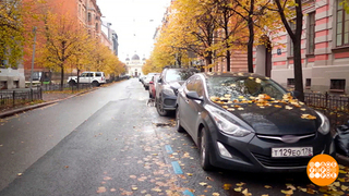 Питер паркуется... Доброе утро. Фрагмент 