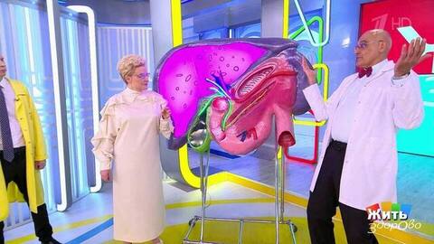 Сколько времени у вас в животе? Боль на девять и на три часа — что это значит? Жить здорово! Фрагмент 