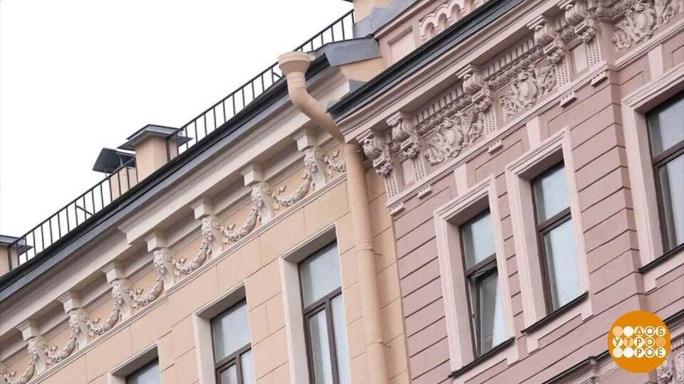 Осень по-питерски. Доброе утро. Фрагмент выпуска от 06.11.2025