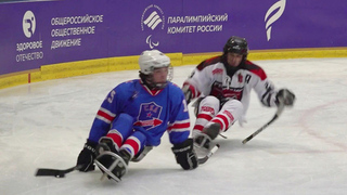 В Самаре проходит международный форум «Россия — спортивная держава»