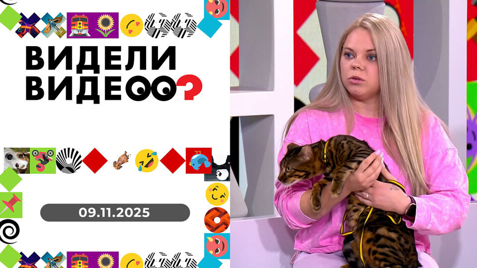 Видели видео? Выпуск от 09.11.2025