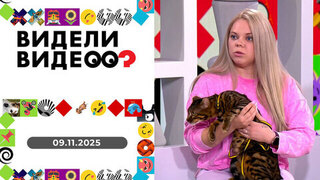 Самый юный альпинист страны, гусь круче планшета, спасенные хорьки. Видели видео? 