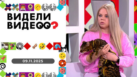 Самый юный альпинист страны, гусь круче планшета, спасенные хорьки. Видели видео? 