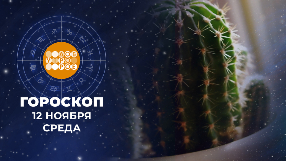 Гороскоп на 12 ноября. Доброе утро. Фрагмент выпуска от 12.11.2025