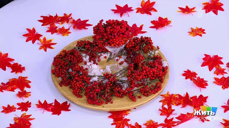 Чем полезна рябина и как ее готовить? Жить здорово! Фрагмент выпуска от 12.11.2025