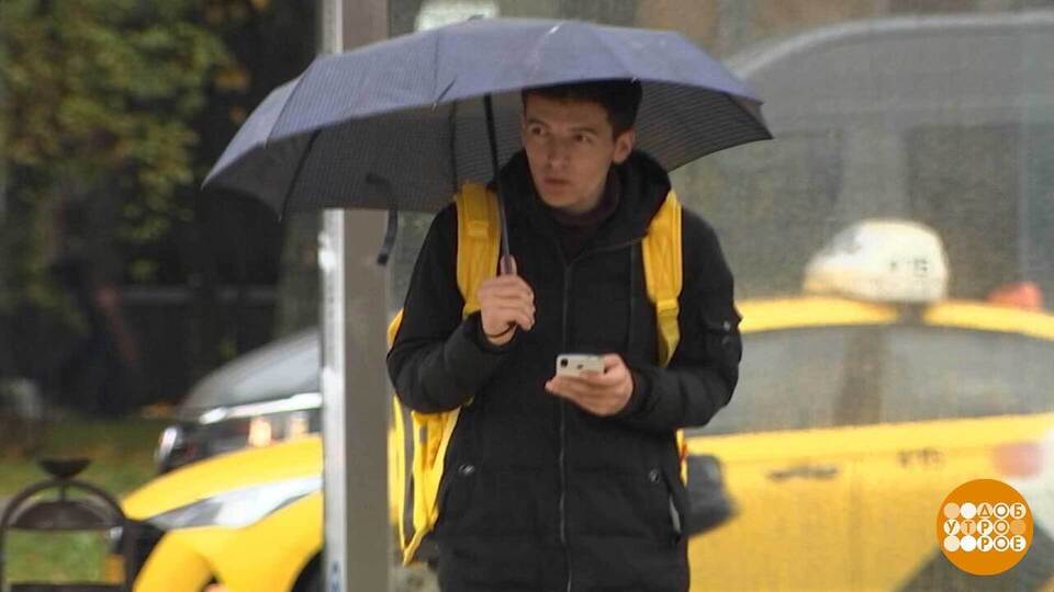 Интернет, я тебя не боюсь! Доброе утро. Фрагмент выпуска от 13.11.2025