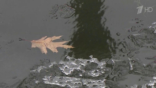 На Москву идет арктический циклон, который уже натворил дел в Мурманской области