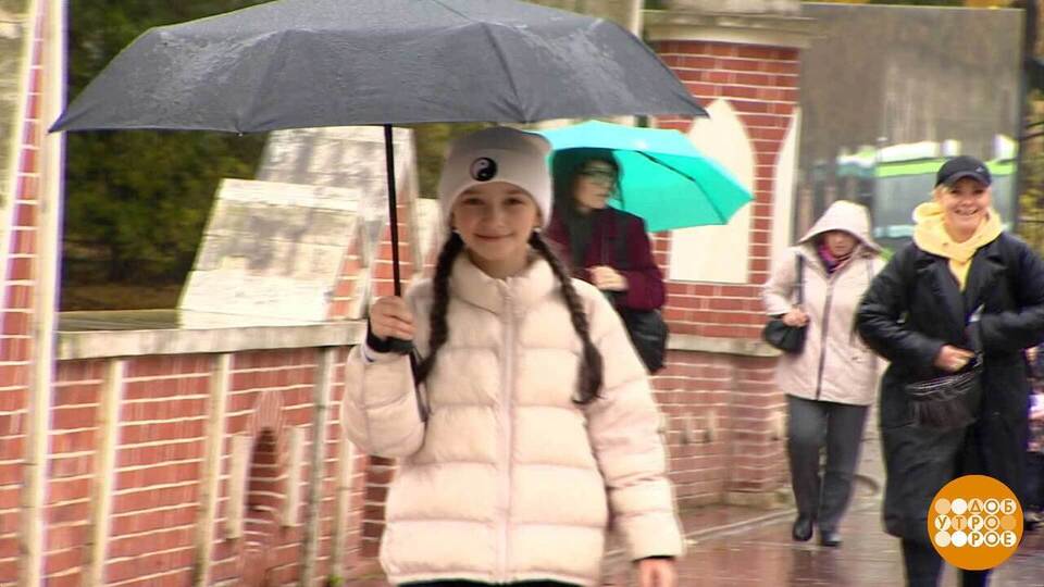 Успокой меня, дождь… Доброе утро. Суббота. Фрагмент выпуска от 15.11.2025