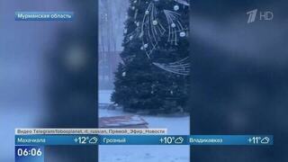 Елки падают: опубликованы кадры последствий метели в Мурманской области