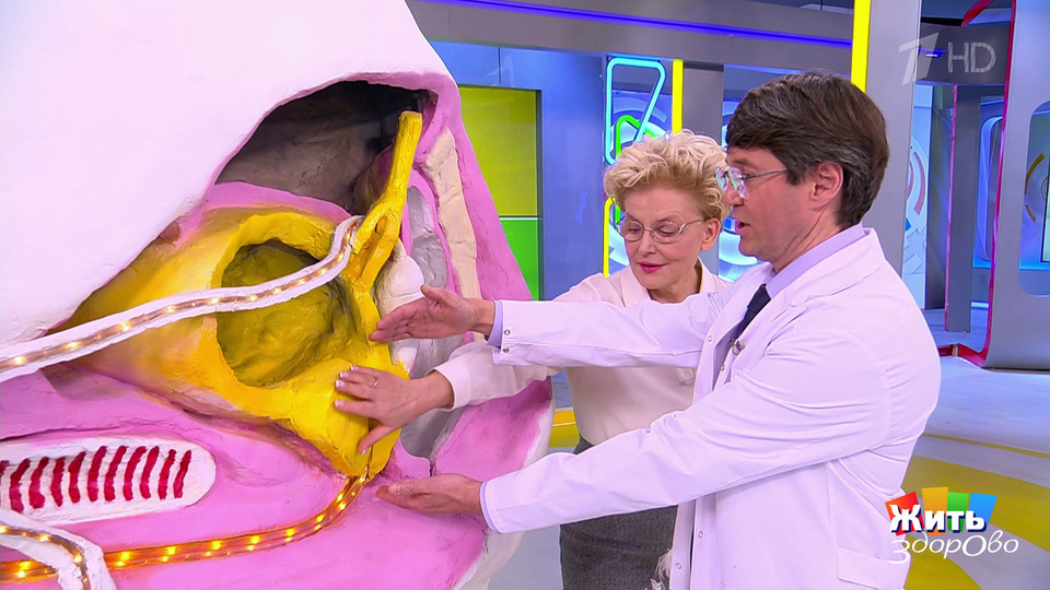 Жизнь после простатэктомии: шанс на выживание. Жить здорово! Фрагмент выпуска от 18.11.2025