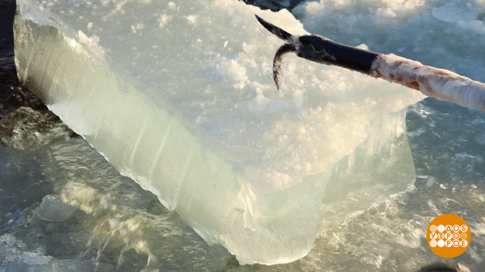 Мы растопим этот лед! Но вначале — заготовим… Доброе утро. Фрагмент выпуска от 19.11.2025 на Первом канале // 19 ноября 2025 Первый // смотреть Мы растопим этот лед! Но вначале — заготовим… Доброе утро. Фрагмент выпуска от 19.11.2025 online без регистрации