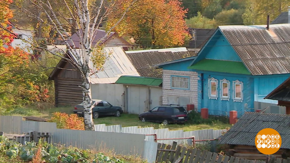 Хочу в деревню! Доброе утро. Фрагмент выпуска от 19.11.2025 на Первом канале // 19 ноября 2025 Первый // смотреть Хочу в деревню! Доброе утро. Фрагмент выпуска от 19.11.2025 online без регистрации