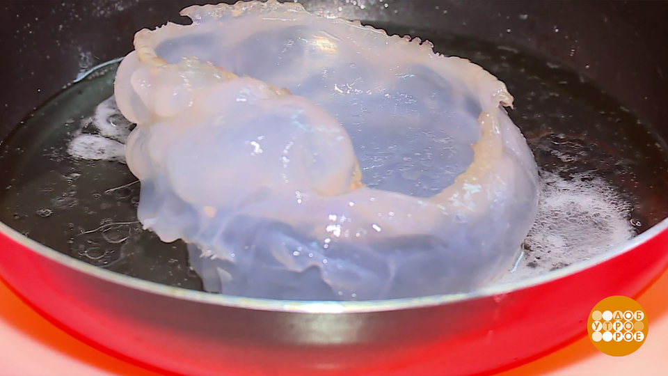 Не любите медуз? Вы их просто готовить не умеете! Доброе утро. Фрагмент выпуска от 20.11.2025