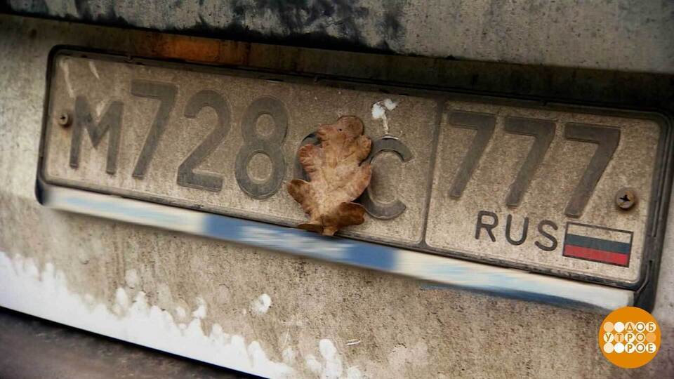 Вот это номер! Только грязный… Доброе утро. Фрагмент выпуска от 20.11.2025