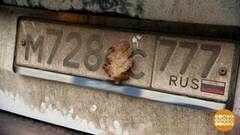 Вот это номер! Только грязный... Доброе утро. Фрагмент 