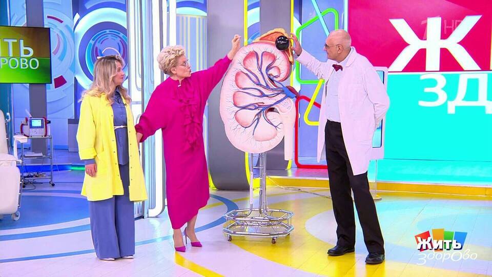 Давление плюс потливость: тревожный сигнал. Жить здорово! Фрагмент выпуска от 20.11.2025