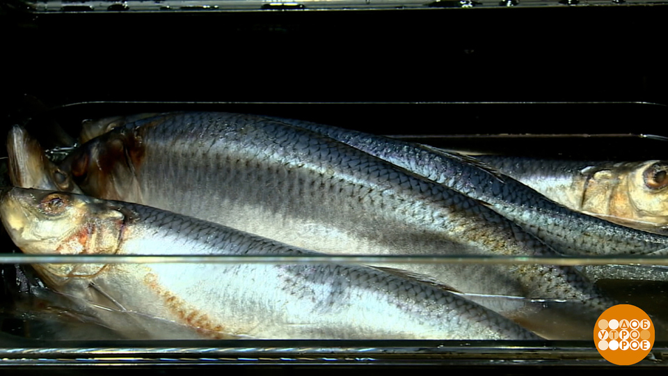 Как вы там, селедки в бочке? Доброе утро. Фрагмент выпуска от 24.11.2025