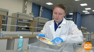 Средства для мытья посуды: что скажет наука? Доброе утро. Фрагмент 