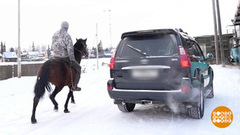 На работу – на коне! Доброе утро. Фрагмент 