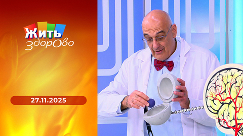 Аптечка в сезон простуд; как выбрать матрас; оранжевые фрукты и овощи; вязание — терапия для мозга. Жить здорово! 