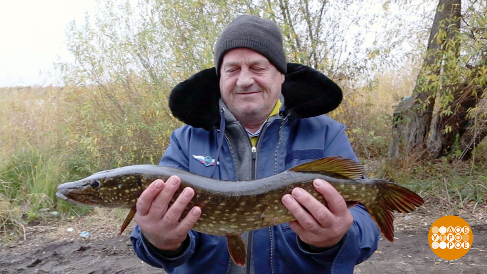 Рыбалка в конце ноября: кто где клюет? Доброе утро. Фрагмент выпуска от 28.11.2025