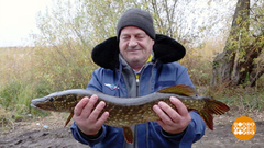 Рыбалка в конце ноября: кто где клюет? Доброе утро. Фрагмент 