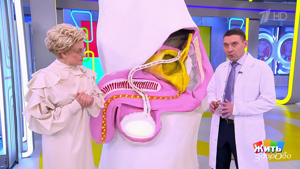 Варикоцеле у подростков: операция — спасение или перестраховка? Жить здорово! Фрагмент выпуска от 28.11.2025