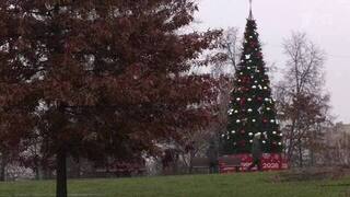 Синоптики прогнозируют теплое начало декабря в Москве