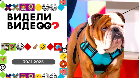 Видели видео? Выпуск от 30.11.2025
