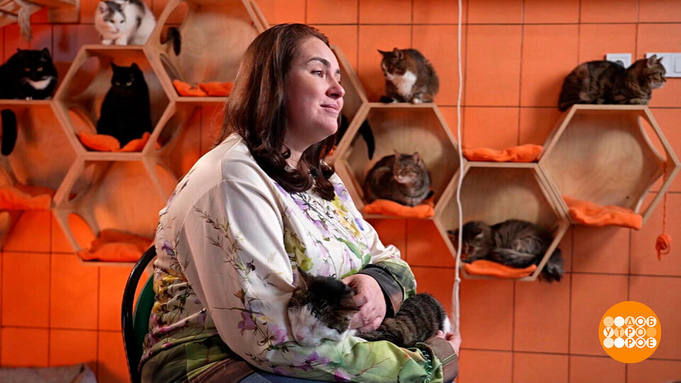 Вера Митина — про людей и про зверей. Доброе утро. Фрагмент выпуска от 01.12.2025