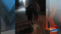 «Банда девочек терроризирует город». Кровавая дружба. Мужское / Женское. Краткое содержание 