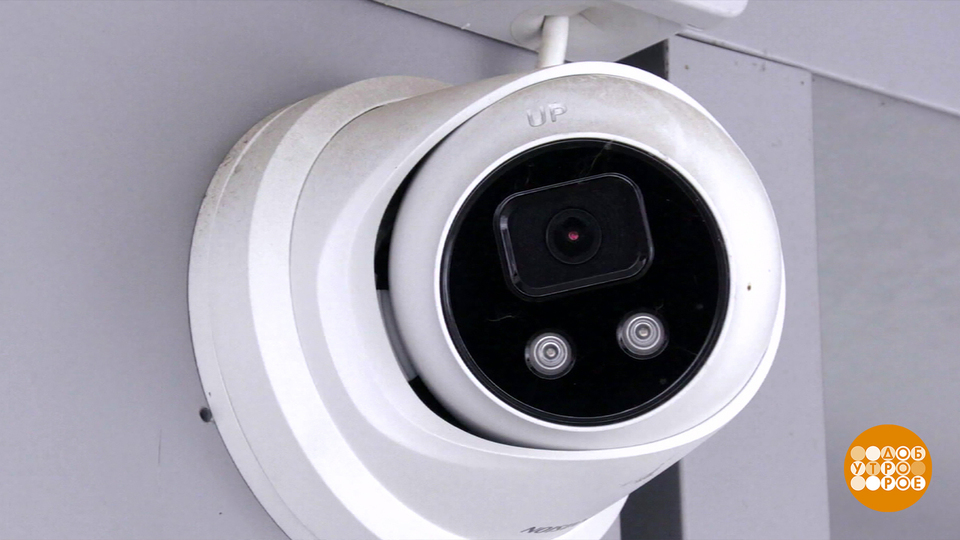 Город, какой ты умный! Доброе утро. Фрагмент выпуска от 02.12.2025