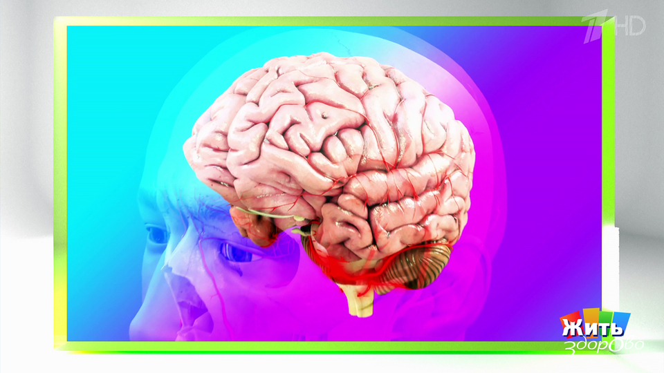 Мозг не стареет — если тренировать его. Жить здорово! Фрагмент выпуска от 02.12.2025