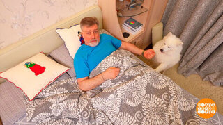 Бодримся! Доброе утро. Фрагмент 