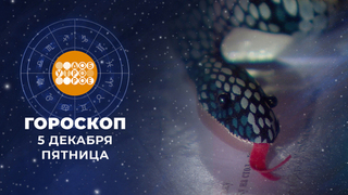 Гороскоп на 5 декабря. Доброе утро. Фрагмент 