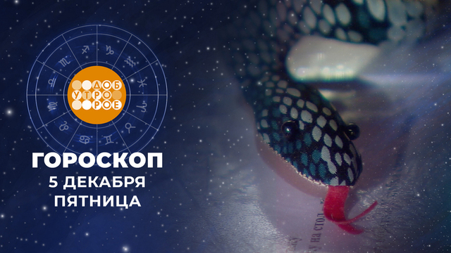 Гороскоп на 5 декабря. Доброе утро. Фрагмент 